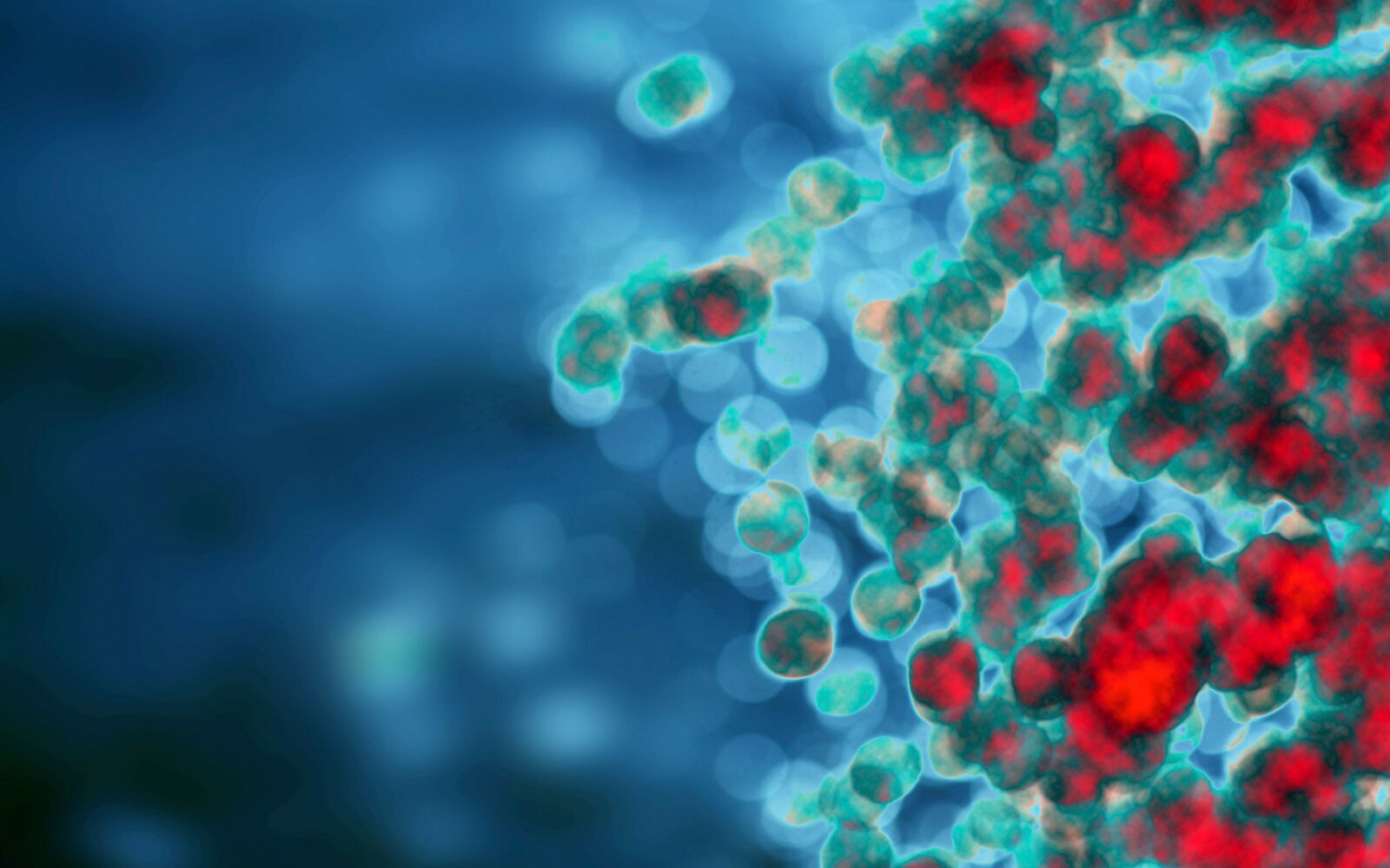 Frontiers In Immunology